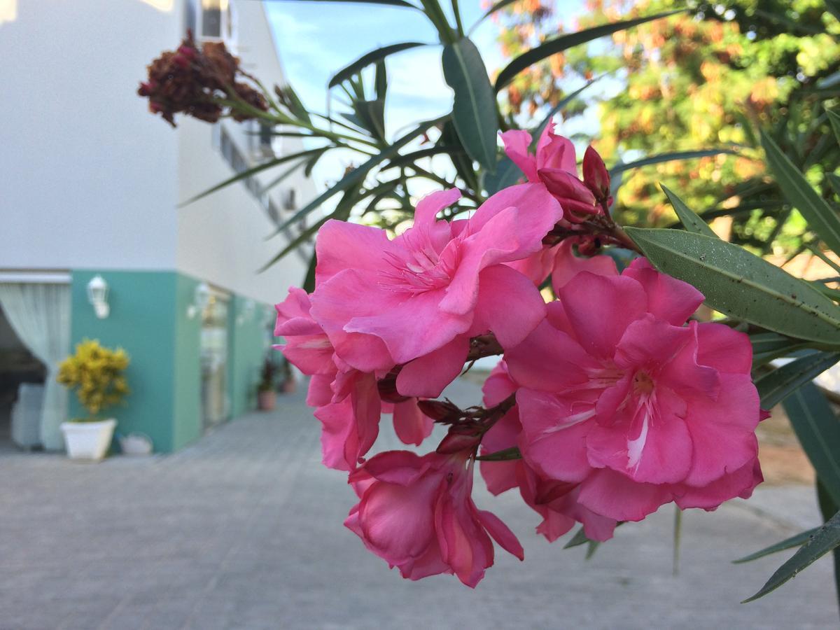 Scenarium Hotel Жабоатао дос Гуарарапис Екстериор снимка